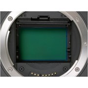 Camera Repairs Sensor Clean Cropped Sensor