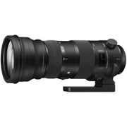 Sigma SH 150-600mm f/5-6.3 DG OS HSM Sports Lens: Canon EF grade 9