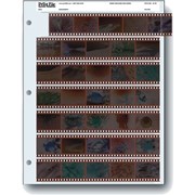 Print File Archival 35mm Film: 10 Strips of 4 Frames (25 Pack)