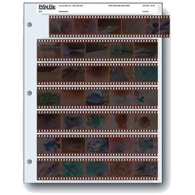 Product: Print File Archival 35mm Film: 10 Strips of 4 Frames (25 Pack)