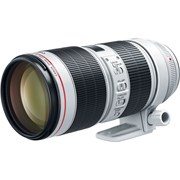 Canon Rental EF 70-200mm f/2.8L IS III USM Lens
