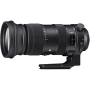 Sigma 60-600mm f/4.5-6.3 DG OS HSM Sports Lens: Canon EF