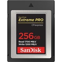 Product: SanDisk Extreme PRO 256GB CFexpress Type B Card