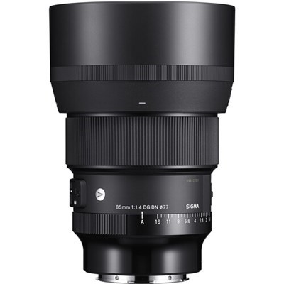 Product: Sigma 85mm f/1.4 DG DN Art Lens: Leica L