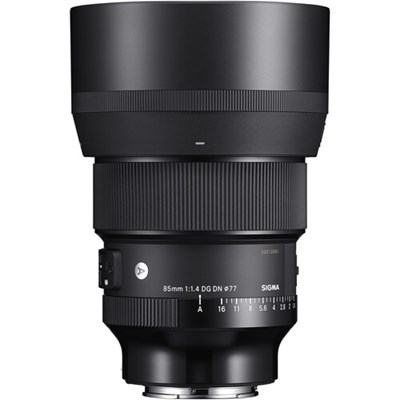 Product: Sigma 85mm f/1.4 DG DN Art Lens: Sony FE