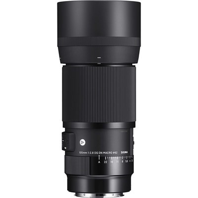 Product: Sigma 105mm f/2.8 DG DN Macro Art Lens: Leica L