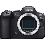 Canon Rental EOS R6 II Body