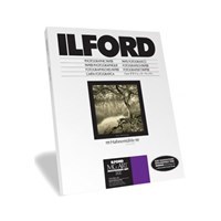 Product: Ilford 12x16" MGIV RC Deluxe Pearl 10s