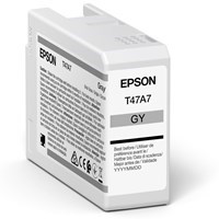 Product: Epson P906 - Gray Ink