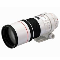 Product: Canon EF 300mm f/4L IS USM Lens