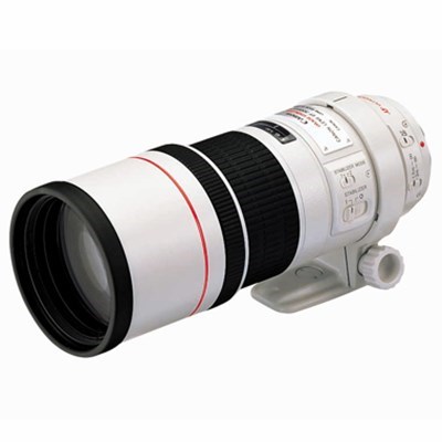 Product: Canon EF 300mm f/4L IS USM Lens