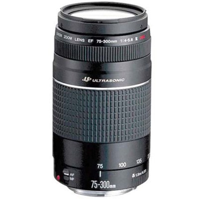 Product: Canon SH EF 75-300mm f/4-5.6 III lens grade 10
