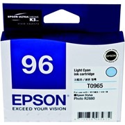Epson R2880 - Light Cyan Ink
