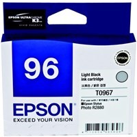 Product: Epson R2880 - Light Black Ink