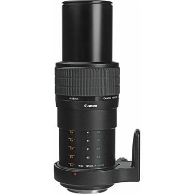 Product: Canon MP-E 65mm f/2.8 Macro Lens