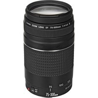 Product: Canon SH EF 75-300mm f/4-5.6 III lens grade 8