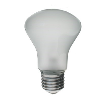 Product: Elinchrom Modelling Lamp 100W 196V E27