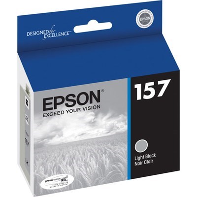Product: Epson R3000 - Light Black Ink