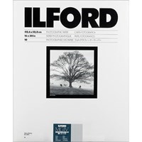 Product: Ilford 16x20" MGIV RC Deluxe Pearl 10s