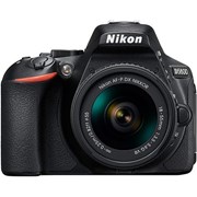 Nikon D5600 + AF-P 18-55mm f/3.5-5.6G VR DX lens