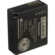 Panasonic BLG10E Battery + Charger Kit