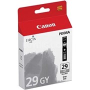 Canon Pixma PRO 1 Grey