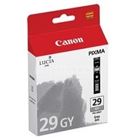 Product: Canon Pixma PRO 1 Grey