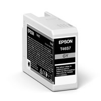 Product: Epson P706 - Gray Ink