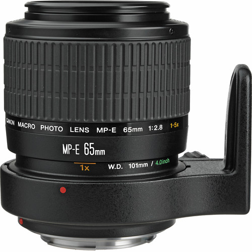 Canon EF MP-E 65mm f/2.8 Macro lens - Grade 8