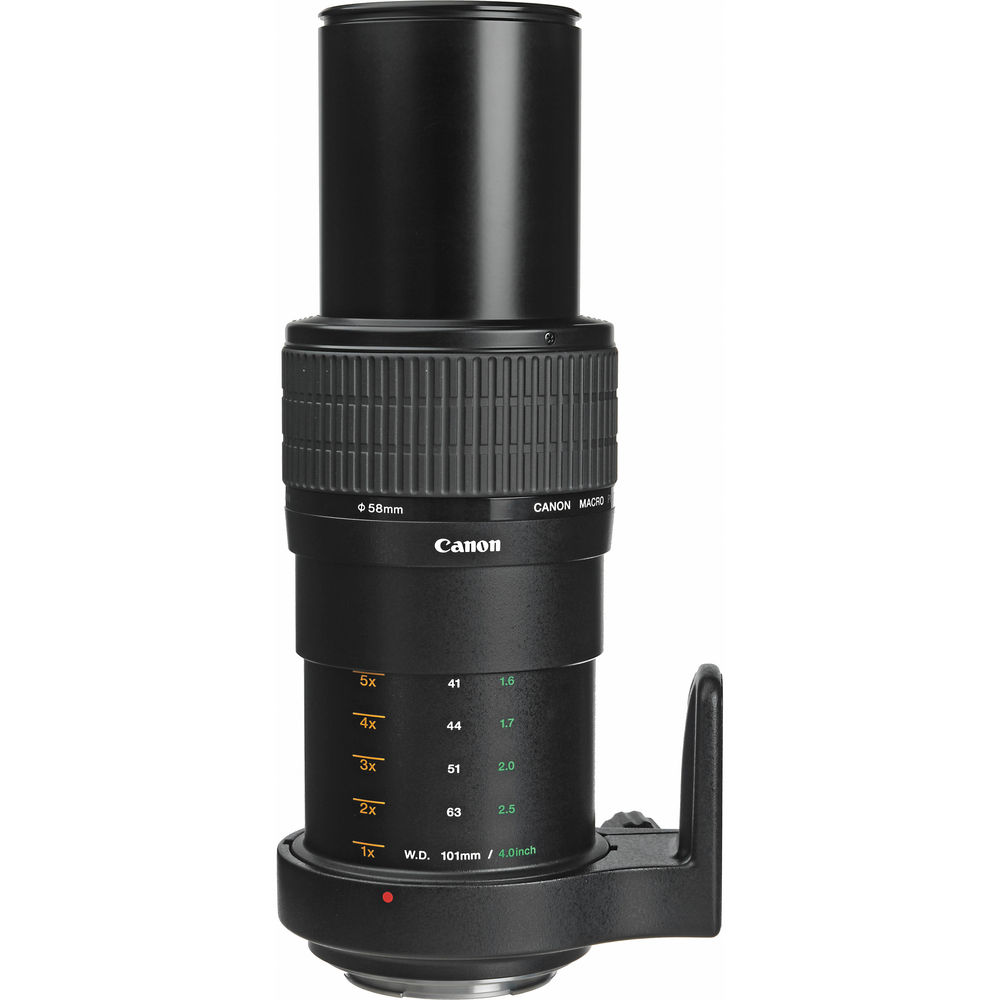 Canon EF MP-E 65mm f/2.8 Macro lens - Grade 8
