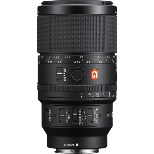 Sony FE 100mm f/2.8 Macro Lens GM