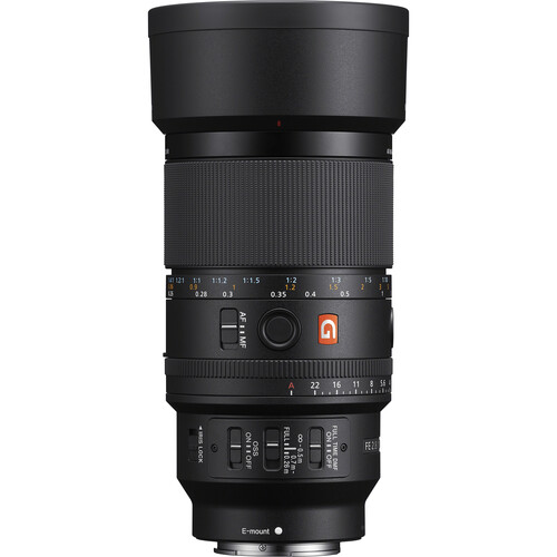 Sony FE 100mm f/2.8 Macro Lens GM