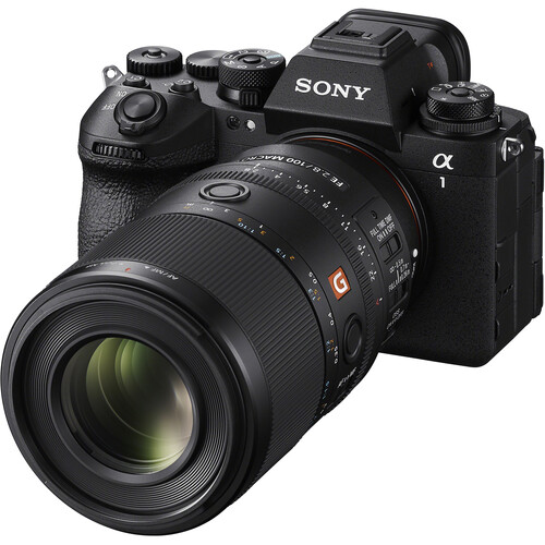 Sony FE 100mm f/2.8 Macro Lens GM