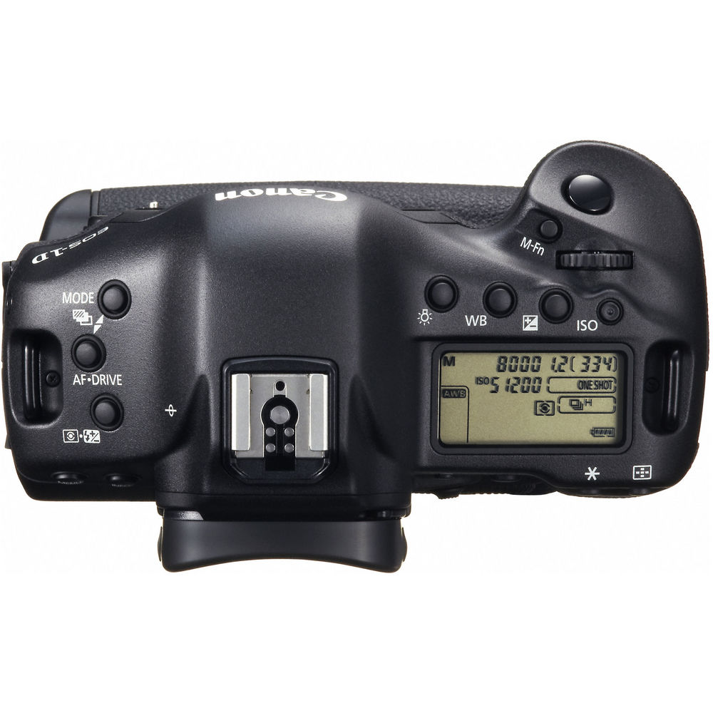 Canon EOS 1DX - Grade 10