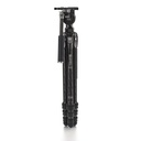 Benro Tortoise 24C with FS36PRO Head
