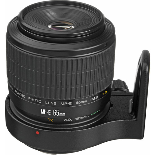 Canon EF MP-E 65mm f/2.8 Macro Lens - Grade 8