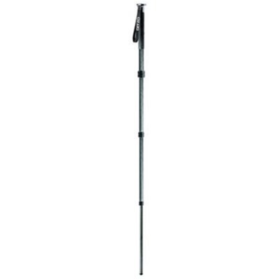 Gitzo GM2541 Series 2 Carbon Fibre Monopod - Grade 8