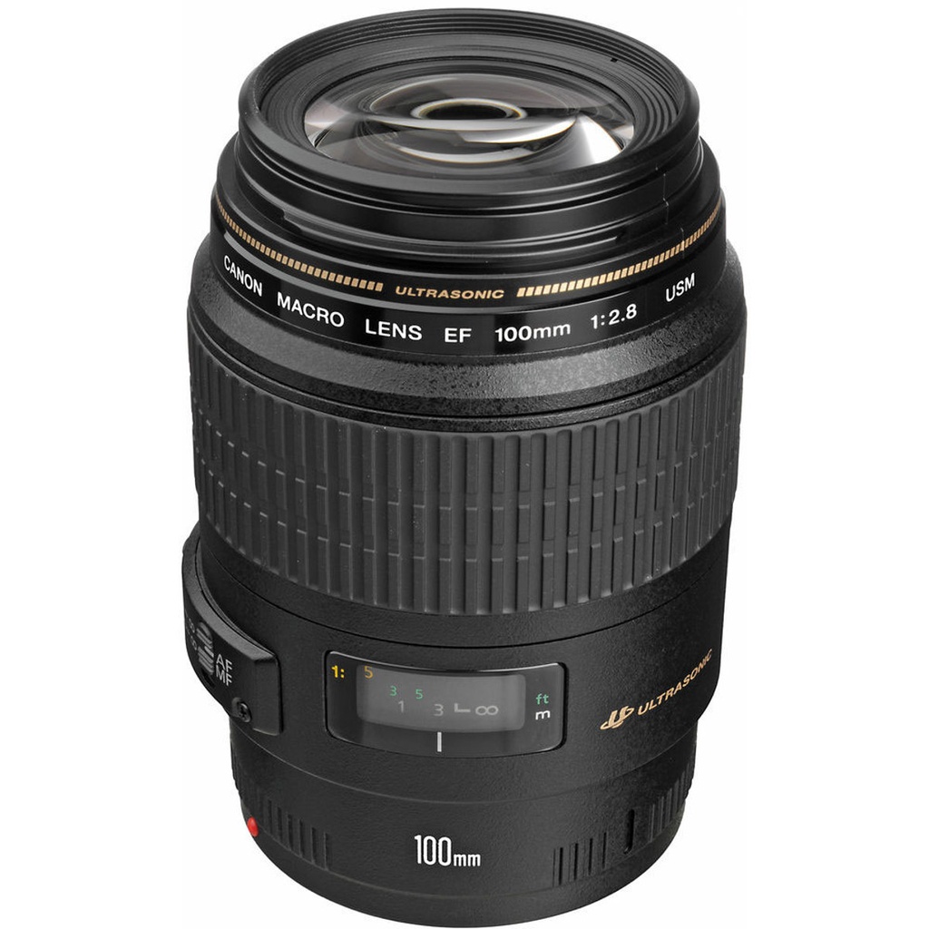 Canon EF 100mm f/2.8 Macro USM lens - Grade 9