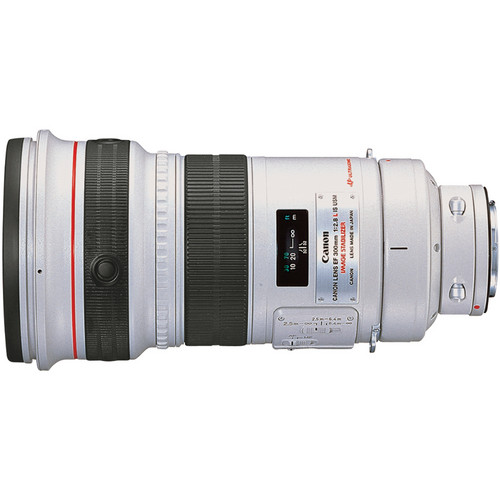 Canon EF 300mm f/2.8 L IS USM lens