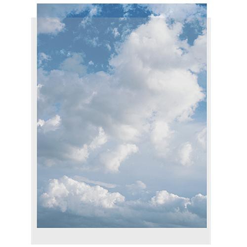 ClearFile Print Protector 9 x 12" 100-Pack
