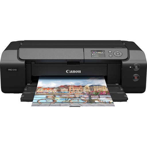 [PRO300] Canon imagePROGRAF PRO-300 A3+ - Grade 10