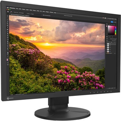[CS2400S] EIZO ColorEdge CS2400S 24" IPS LCD Monitor