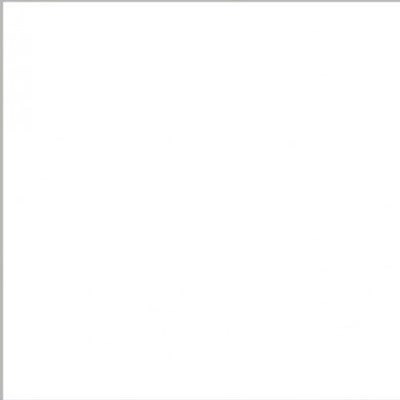 Colortone Super White 2.75m x 11m